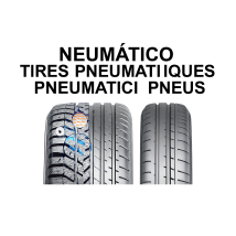 Neumáticos